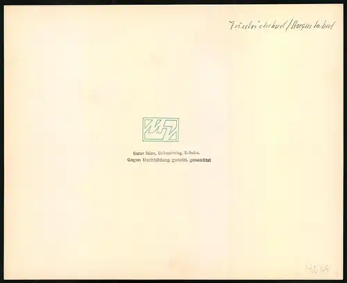Fotografie Gustav Salzer, Baden-Baden, Ansicht Baden-Baden, Friedrichsbad und Augustabad, Grossformat 27 x 22cm