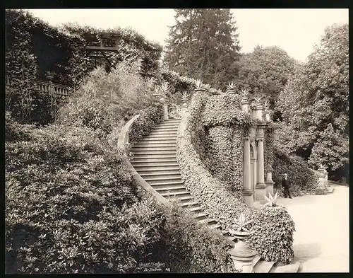 Fotografie Gustav Salzer, Baden-Baden, Ansicht Baden-Baden, mit Efeu überwucherter Treppenaufgang Schlossterrasse