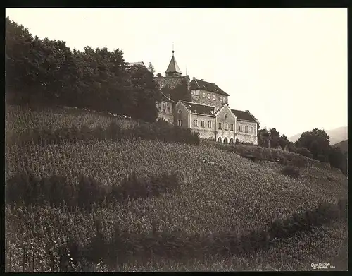 Fotografie Gustav Salzer, Baden-Baden, Ansicht Gernsbach, Blick vom Weinberg nach Schloss Eberstein, 27 x 21cm