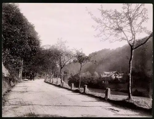 Fotografie Gustav Salzer, Baden-Baden, Ansicht Baden-Baden, Fischkultur Forellen-Zucht Gaisbach, Grossformat 27 x 21cm