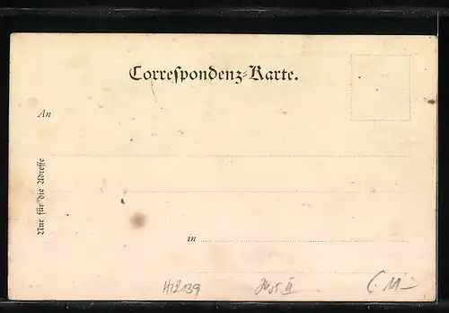 AK Meran, Meraner Volksschauspiele, Hofer kehrt aus Wien zurück