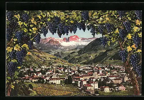 AK Bolzano-Gris, Panorama