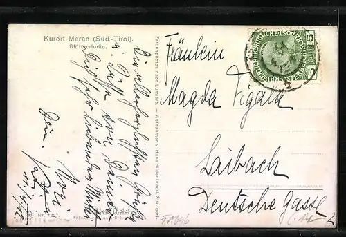 AK Meran, Blütenstudie