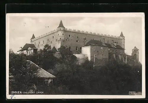 AK Zvolen, Zvolenský Zámok