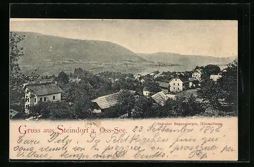 AK Steindorf a. Oss-See, Ortsansicht aus der Vogelschau