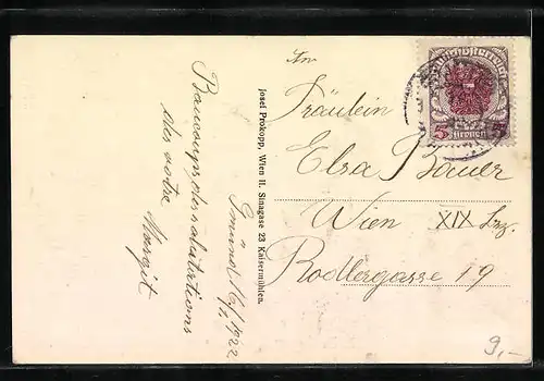 Künstler-AK Gmünd, Ortsansicht aus der Vogelschau