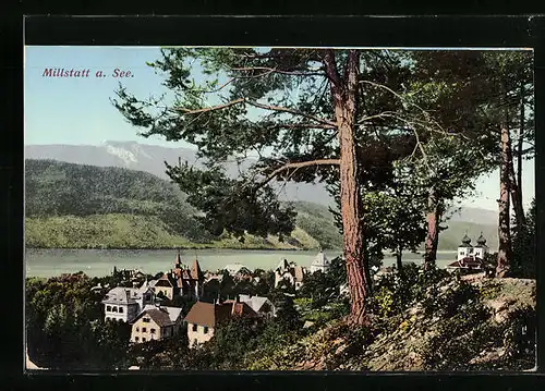 AK Millstatt a. See, Teilansicht mit Blick zum See