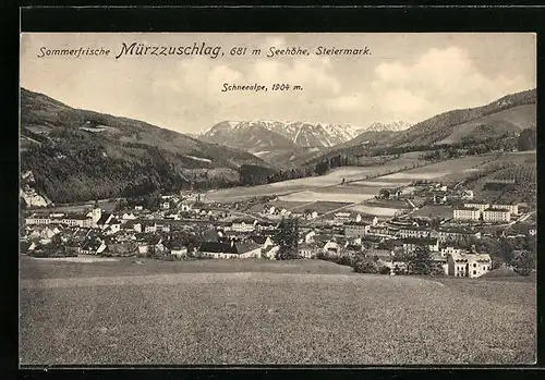 AK Mürzzuschlag, Ortspartie aus der Vogelschau mit Schneealpe