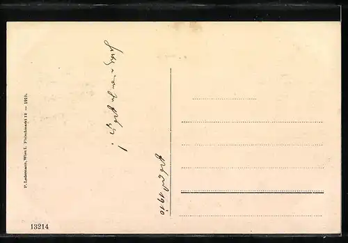 AK Mürzzuschlag, Ortspartie aus der Vogelschau mit Schneealpe