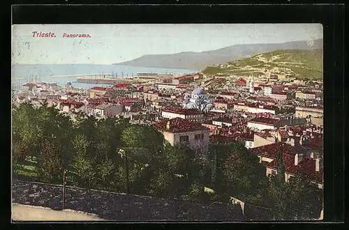 AK Trieste, Panorama