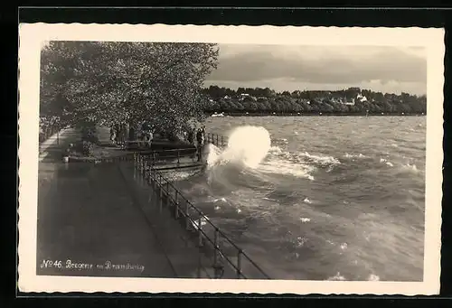 AK Bregenz, Brandung am Bodensee-Ufer