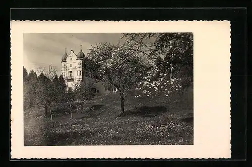 AK Bregenz, Blick zum Schloss-Hotel