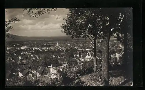 AK Dornbirn, Gesamtansicht vom Zanzenberg aus gesehen