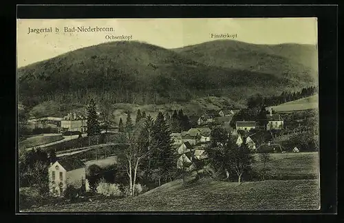 AK Bad-Niederbronn, Jaegertal, Gesamtansicht mit Ochsenkopf und Finsterkopf
