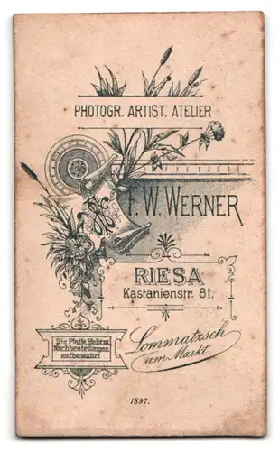 Fotografie Atelier Werner, Riesa, Kastanienstr. 81, Junge Frau in edler Bluse mit Kreuzkette