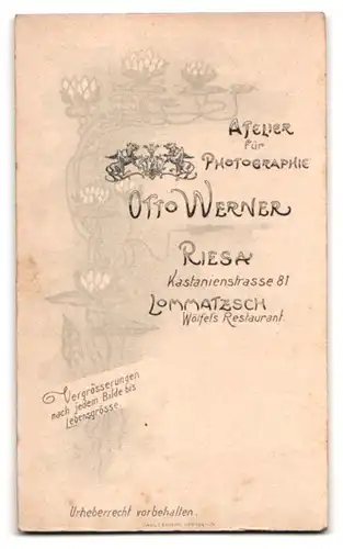 Fotografie Otto Werner, Riesa, Kastanienstrasse 81, Junge Dame in modischer Bluse