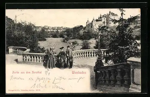 AK Wiesbaden, Partie aus dem Nerothal
