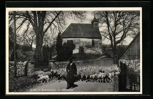 AK Balkhausen / Odenwald, Schäfer mit Herde an der Kirche