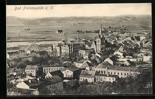 AK Bad Freienwalde a. O., Totalansicht