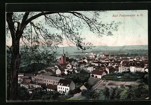 AK Bad Freienwalde a. O., Totale vom Berg aus gesehen