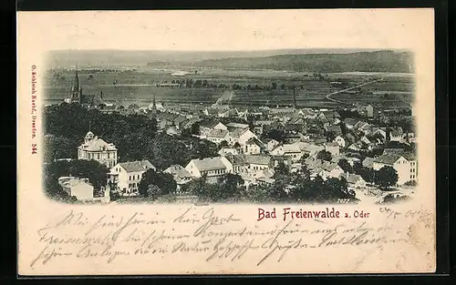 AK Bad Freienwalde a. O., Gesamtansicht