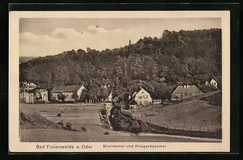 AK Bad Freienwalde a. O., Brunnental und Kriegerdenkmal