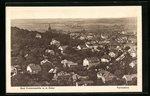 AK Bad Freienwalde a. O., Panorama