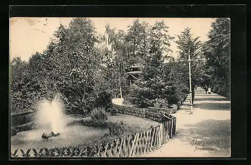 AK Eberswalde, Promenade mit Spaziergängern