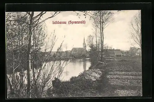 AK Lübbenau / Spreewald, Blick zur Ortschaft