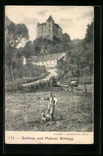 AK Wildegg, Schloss und Meierei