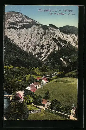 AK Kaiserbrunn im Höllental, Totale mit Gebirgswand