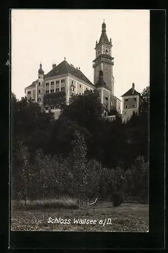 AK Wallsee a. d. Donau, Blick zum Schloss