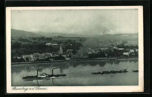 AK Persenbeug a. d. Donau, Totale mit Donaudampfer