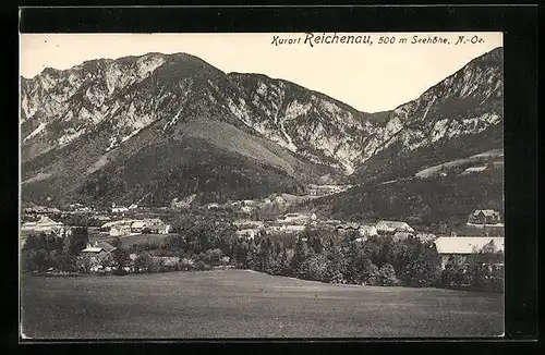 AK Reichenau, Totale mit Gebirgswand