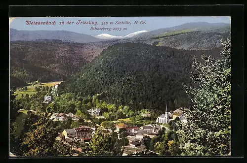 AK Weissenbach a. d. Triestling, Gesamtansicht mit Schneeberg