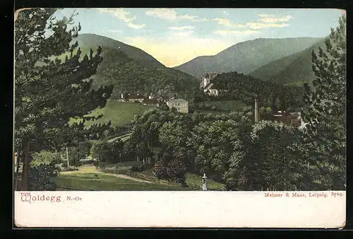 AK Waldegg, Totalansicht