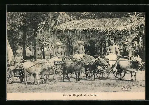 AK Gustav Hagenbeck`s Indien, Inder mit Ochsenkarren
