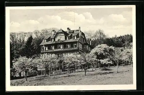 AK Georgenborn U/ Ts., Haus Hohenwald, Altersheim & Jugendbleibe
