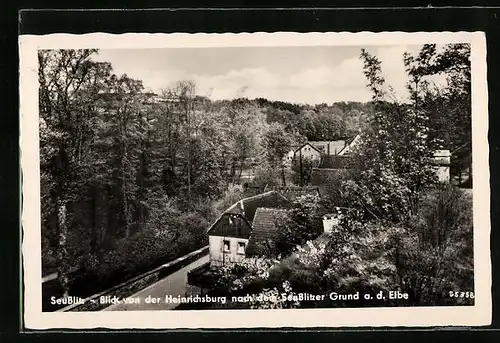 AK Seusslitz, Blick von der Heinrichsburg nach dem Seusslitzer Grund