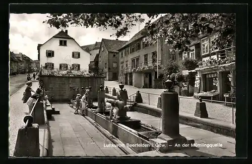 AK Beerfelden / Odw., an der Mümlingquelle