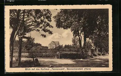 AK Benneckenstein / Harz, Blick zum Kurhaus Tannenwald