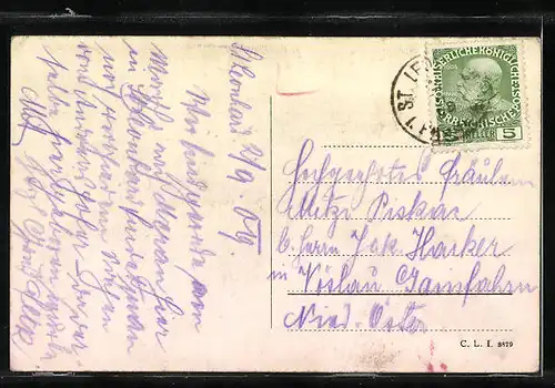 AK St. Leonhard i. Passeier, Panorama