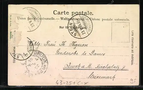 Lithographie Stein a. Rh., Sängerfest 1903, Teilansicht mit Kirche, Wächter mit Schwert und Schild