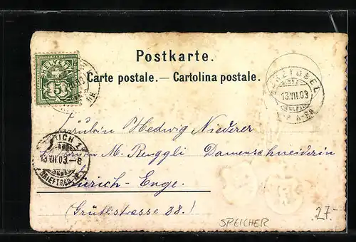 Präge-Künstler-AK Vögelinsegg, Festpostkarte zum 500sten Gedächtnistag der Schlacht bei Vögelinsegg 1403-1903, Denkmal