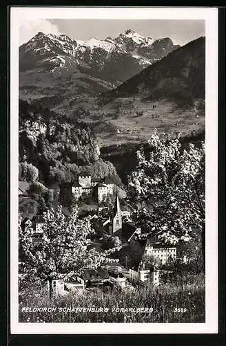 AK Feldkirch, Blick hinab auf die Schattenburg
