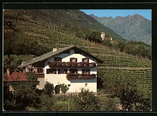 AK Tscherms b. Meran, das Gasthaus Tagfeithof am Hang