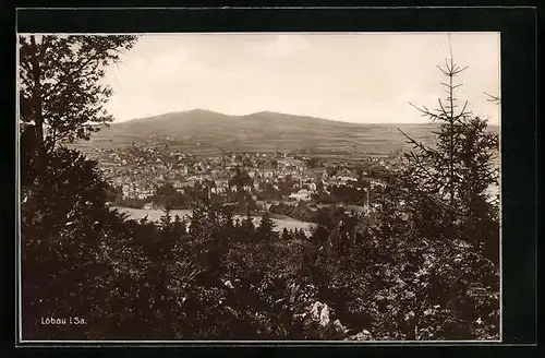 AK Löbau i. Sa., Generalansicht der Stadt vom Waldrand aus