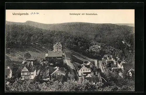 AK Wernigerode, Blick auf das Sanatorium im Salzbergtal