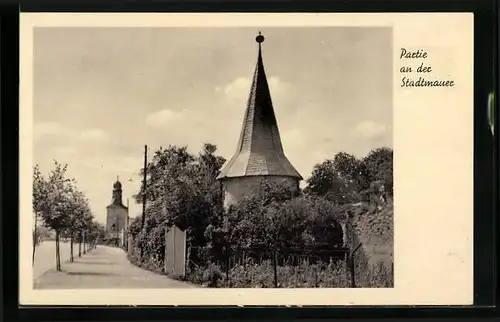 AK Sömmerda, Partie an der Stadtmauer, Blick zur Kirche