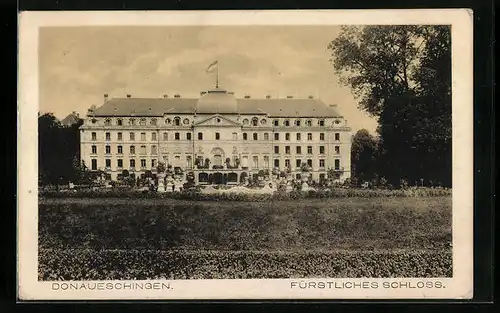 AK Donaueschingen, Fassade des Fürstlichen Schlosses